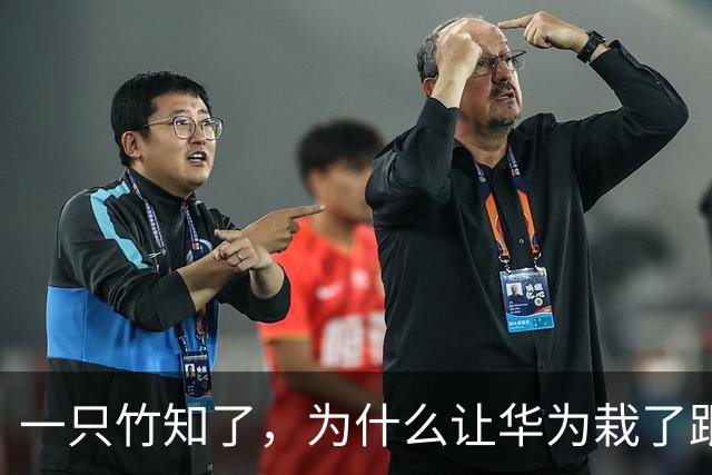 一只竹知了，为什么让华为栽了跟头？
