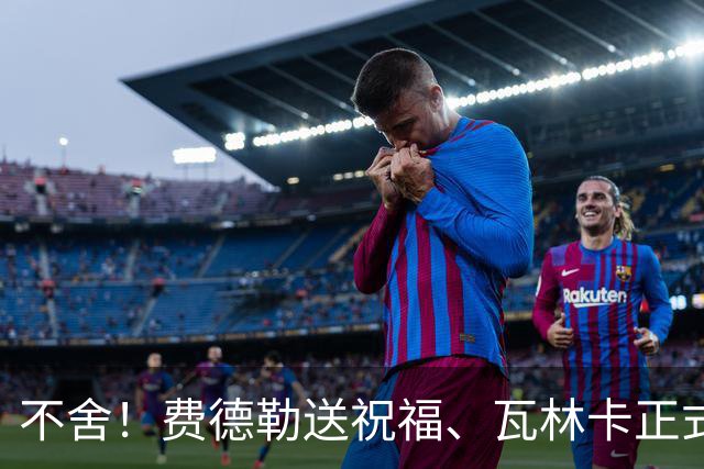 不舍！费德勒送祝福、瓦林卡正式退役