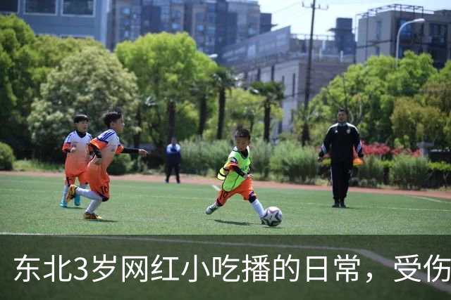东北3岁网红小吃播的日常，受伤了爸爸不陪伴，乖乖吃饭