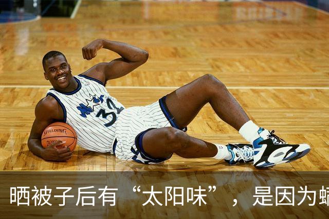 晒被子后有“太阳味”，是因为螨虫被烤焦了？科学家：太阳的功劳