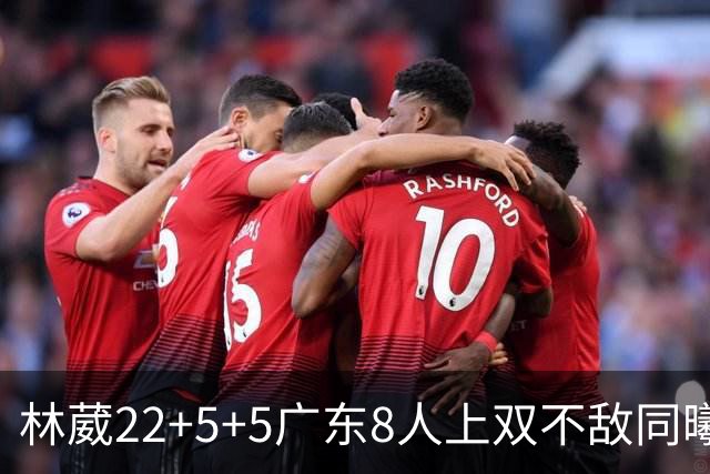 林葳22+5+5广东8人上双不敌同曦 皮特森34分