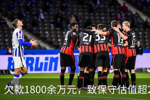 欠款1800余万元，致保守估值超2.5亿元的295套房产被查封3年