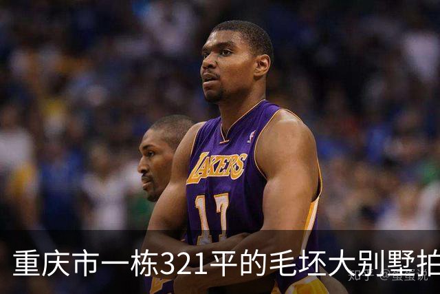 重庆市一栋321平的毛坯大别墅拍卖，被人145万元就买下了