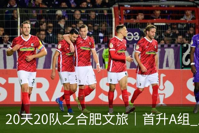 20天20队之合肥文旅｜首升A组 广东新锐加盟补强内外援框架落定